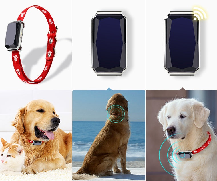 The Zyorabrands™ LED GPS Pet Tracker Collar